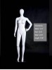 Full Size Mannequin Display